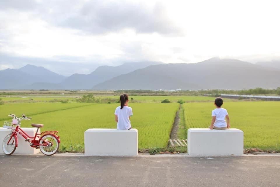 Pu Shi Homestay Yuli Extérieur photo