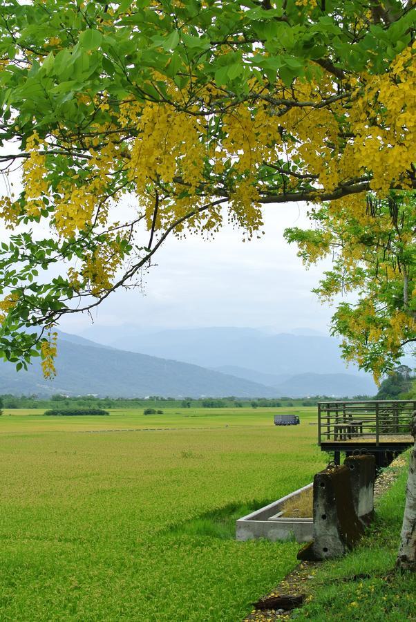 Pu Shi Homestay Yuli Extérieur photo